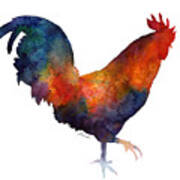 Colorful Rooster Poster