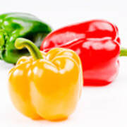 Colorful Sweet Peppers Poster