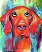 Colorful Vista Dog Watercolor And Mixed Poster