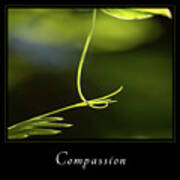 Compassion 2 Poster