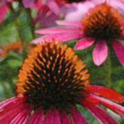 Cone Flowers Poster