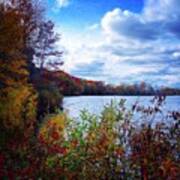 Conservation Park And Pine River In The Fall Poster