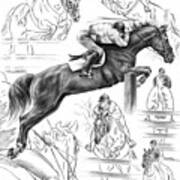 Contemplating Flight - Jumper Horse Drawing Poster