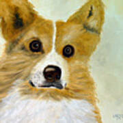 Corgi Poster