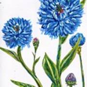 Corn Flowers Illustration Poster