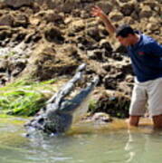 Costa Rica Crocodile 4 Poster