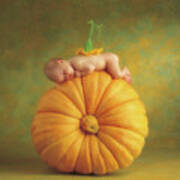 Country Pumpkin Poster
