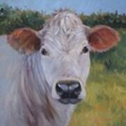 Cow Painting Ms Ivory Poster