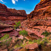 Coyote Gulch At Sunset Poster