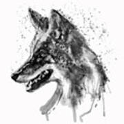 Coyote Head Black And White Poster