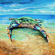 Crabby At The Beach Poster