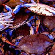 Crabs At The Market Poster