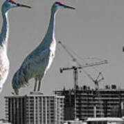Cranes Reign Poster