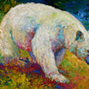 Creamy Vanilla - Kermode Spirit Bear Of Bc Poster