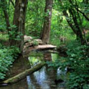 Creek And Wood At Roman Nose State Park #1 Poster