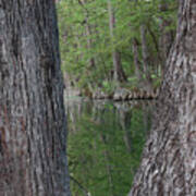 Creek Reflections Poster