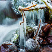 Creekside Icicles Poster