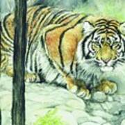 Crouching Tiger Poster