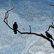 Crows On A Branch Poster