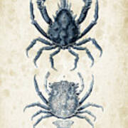 Crustaceans - 1825 - 20 Poster