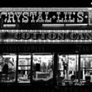 Crystal Lils And Cotton Candy Bw Poster