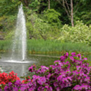 Crystal Springs Rhododendron Garden 0794 Poster