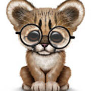 Cute Cougar Cub Wearing Glasses Poster