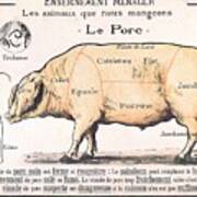 Cuts Of Pork Poster
