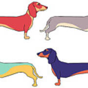 Dachshunds Poster
