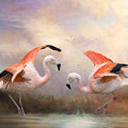 Dance Of The Flamingos Poster