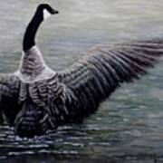 Dancing Canada Goose Poster