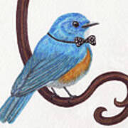 Dapper Bluebird Poster