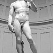 Michelangelo David Marble Statue, Accademia Gallery, Florence, Italy Poster