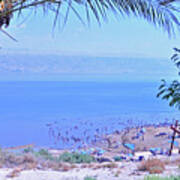 Dead Sea Overlook 2 Poster