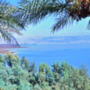 Dead Sea Overlook Poster