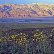 Death Valley Sunrise #1 Poster