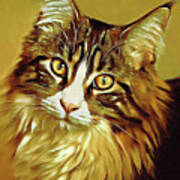Decorative Digital Painting Maine Coon A71518 Poster