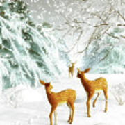 Deer In The Snow Poster