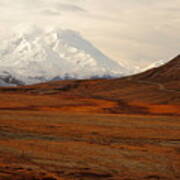 Denali And Tundra In Autumn Poster