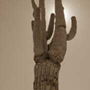 Desert Cactus Poster