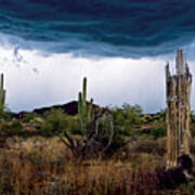 Desert Cactus Storms At The Superstitions Mountains Poster
