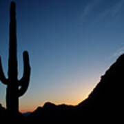 Desert Cactus Sunrise Poster