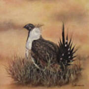 Desert Sage Grouse Poster