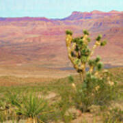 Desert Scene Near Grand Canyon West Poster