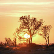 Desert Sunset Poster
