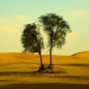 Desert Trees Poster