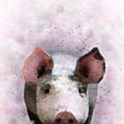 Design 112 Pig Poster