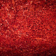 Detail Polished Red Coral Poster