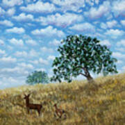 Doe And Fawn Under White Fluffy Clouds Poster