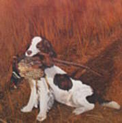 Dog And Pheasant Poster